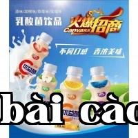 Đang tìm kiếm nhà phân phối sôi động cho đồ uống men vi sinh