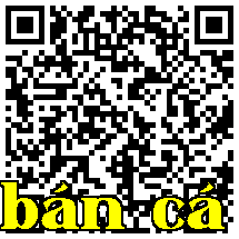 Quét mã QR để truy cập vào phiên bản di động của sản phẩm