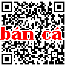 Quét mã QR để truy cập vào phiên bản di động của sản phẩm