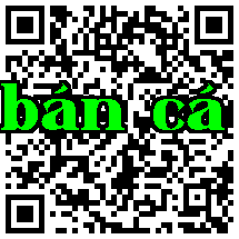 Quét mã QR để truy cập vào phiên bản di động của sản phẩm